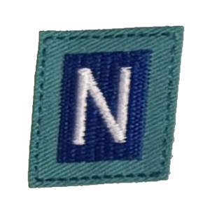 Letter N