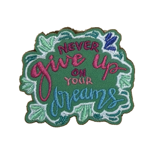 Never Give Up On Your Dreams