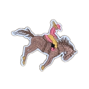 Rodeo Rider